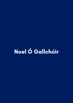 Noel Ó Gallachóir